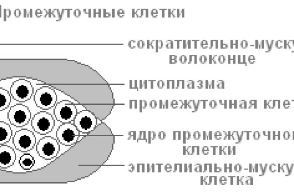 Кракен даркмаркет плейс