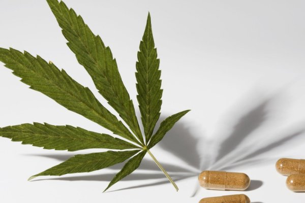 Kraken 14at сайт