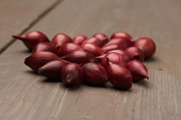 Кракен сайт 1kraken me официальный