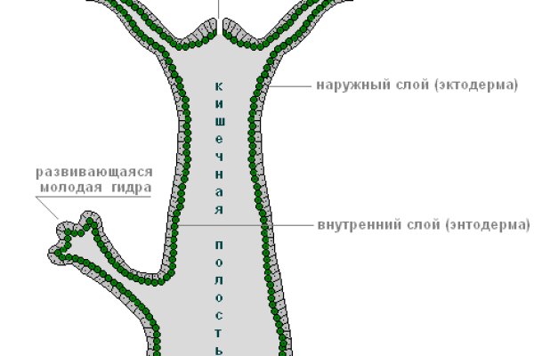 Взломали аккаунт на кракене что делать